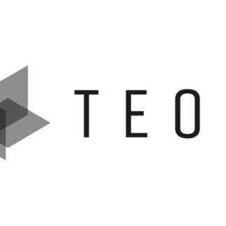 Sony TEOS Manage Entry - Licença de assinatura (1 ano) - Win