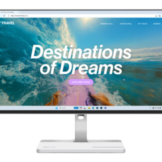 Lenovo L24D-4C 23.8 inch Monitor